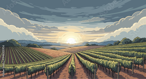 Rolling vineyards under a dramatic sky at sunrise