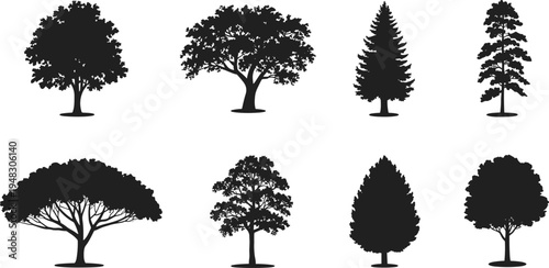 Collection of black tree silhouettes including pine oak and maple isolated on white background for landscape design and nature icons.