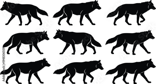 "Black silhouette sequence of wolf walking in nine stages showing animal locomotion, gait mechanics, and motion design, ideal for animation, education, and wildlife illustration projects"