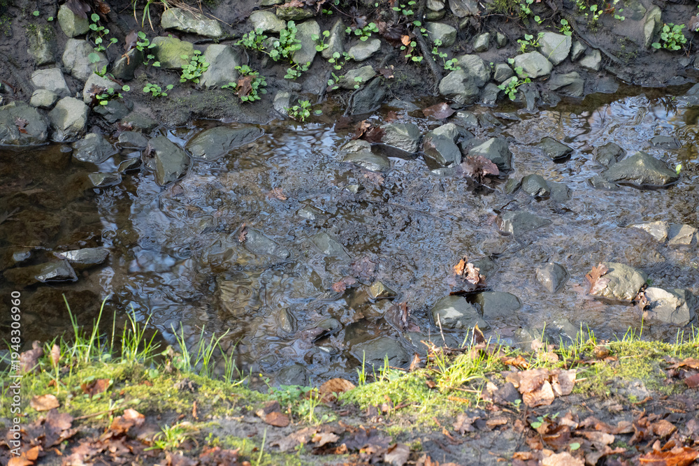 Obraz premium Region Teutoburger Wald