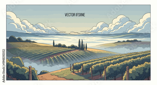 Rolling hills with vineyards shrouded in morning mist under a cloudy sky