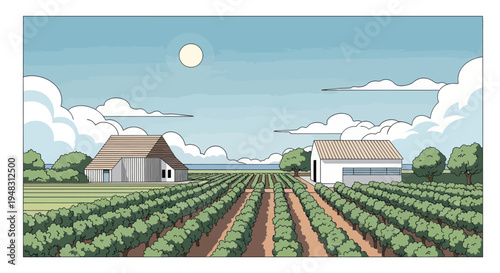 Sunny day over a vineyard with two farm buildings