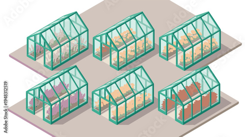 Isometric greenhouses with various colorful plants and flowers