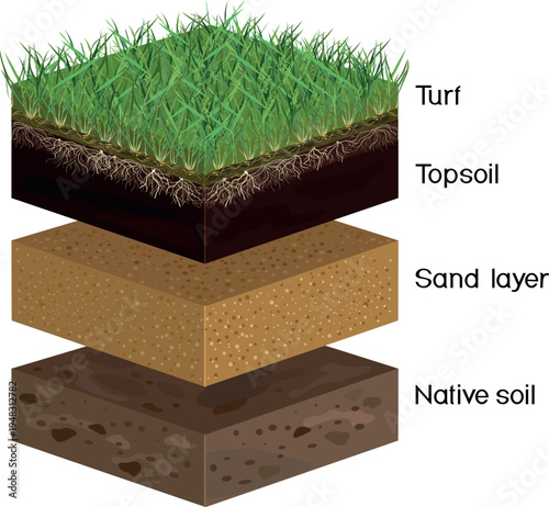 Natural turf lawn installation diagram, soil layers profile with grass, topsoil, sand, and native soil, cross section for landscaping