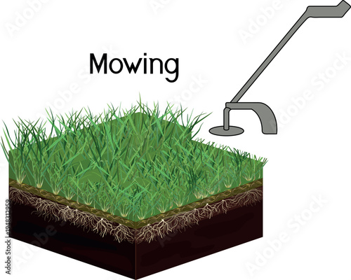 Lawn mowing diagram on white background