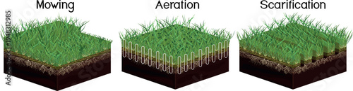 Lawn care: mowing, aeration and scarification