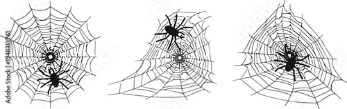 Hand drawn spider web collection with spiders, spooky cobweb sketches set for Halloween party decor, gothic nature elements isolated on white background.