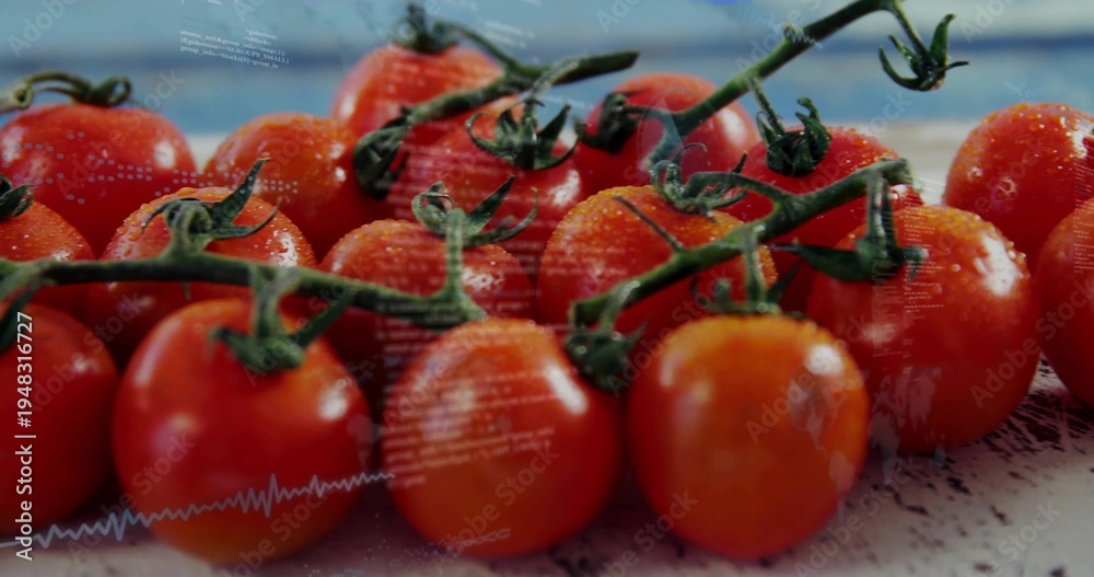 Obraz premium Showing cluster ripe cherry tomatoes on vine on light counter, green stems, water drops, overlay