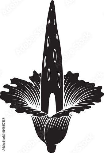 Black and white vector iris flower illustration