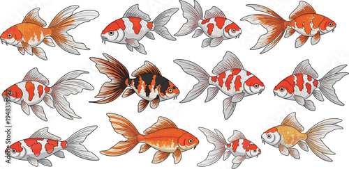 Realistic Koi and Goldfish Vector Set with Detailed Fins and Scales Ornamental Japanese Carp Aquarium Illustration Collection