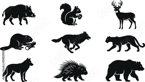 Wild forest animals silhouette set deer wolf bear squirrel beaver porcupine boar lynx wildlife black vector illustration collection