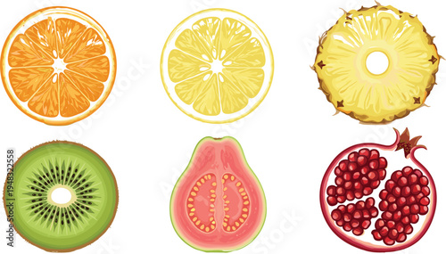 Colorful Tropical Fruit Slice Collection with Orange Lemon Pineapple Kiwi Guava and Pomegranate Top View Fresh Healthy Food Vector Illustration Set