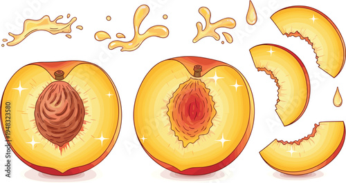 Peach fruit sliced halves and pieces with juicy splash fresh summer food vector illustration
