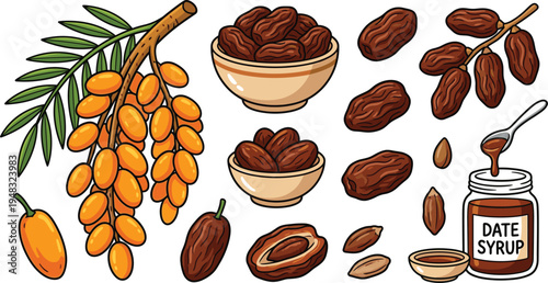 Date Fruit Collection with Palm Branch Fresh Dates Bowls Seeds and Date Syrup Natural Sweet Food Vector Illustration Set