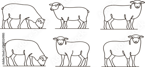 Sheep Line Art Illustration Set with Farm Animal Outline Drawings for Livestock Design, Agriculture Graphics, Logo Elements, and Coloring Book Pages
