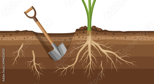 Planting Arbor on a Sunny Day with Shovel and Roots Underground