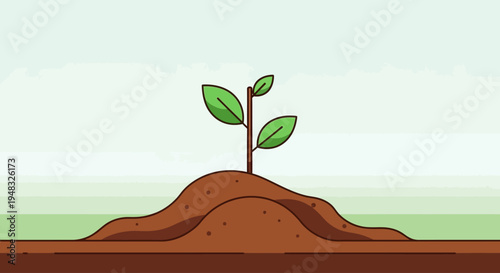 A small Arbor grows on a mound on a sunny Day outdoors.