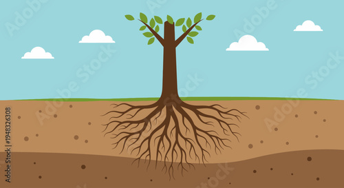 Illustration of a tree on a sunny day showing Arbor roots and growth