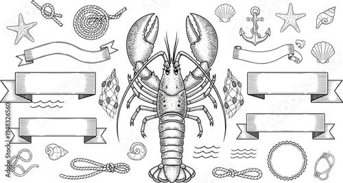 Vintage lobster seafood engraving with nautical elements ribbons shells anchor and rope flat vector illustration set