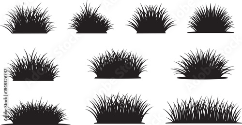 Types of Grass Silhouettes in White Background