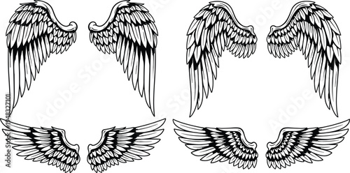 Angel wings vector set, detailed feather wings collection, tattoo style bird wings illustration, vintage wing design elements isolated on white background