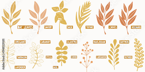 An illustrated collection of various herb leaves with botanical names