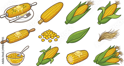Sweet Corn Food Collection with Corn Cob Kernels Buttered Corn and Fresh Maize Vegetable Set Hand Drawn Farm Food Vector Illustration