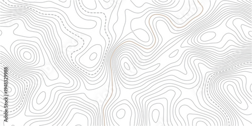 The stylized height of the topographic map in contour, lines. The concept.Background of the topographic map. Topographic lines, contour background. topo map texture.