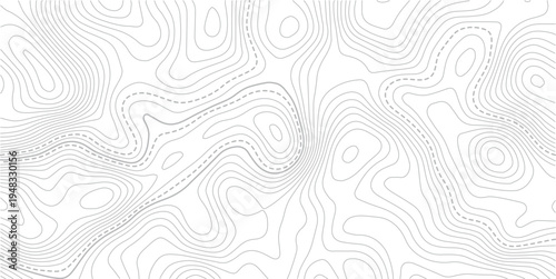 The stylized height of the topographic map in contour, lines. The concept.Background of the topographic map. Topographic lines, contour background. topo map texture.