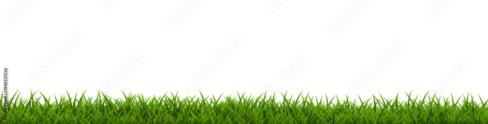 Fototapeta premium Spring Poster Border With Spring Grass