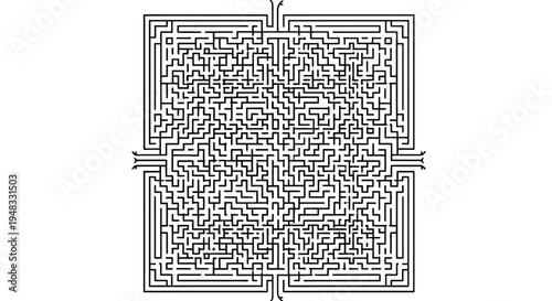 Intricate black and white square maze puzzle with multiple entry and exit points on all four sides.