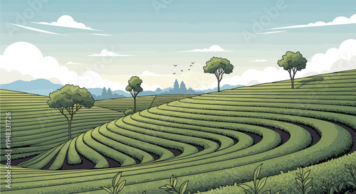 Vast green tea terraces cascade across rolling hills under a cloudy sky