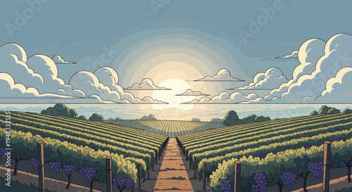 Lush vineyard rows leading to a sunrise with layered clouds and distant hills