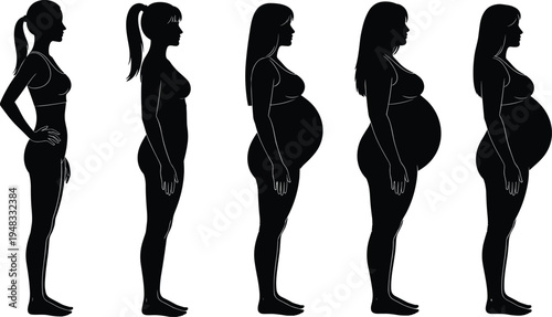 Pregnancy stages progression silhouette showing woman body changes from early pregnancy to full term, maternal health and fetal development concept, expectant mother timeline illustration