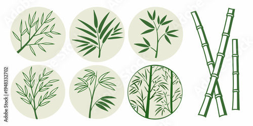 Bamboo plant illustrations in various circular and linear arrangements Vector