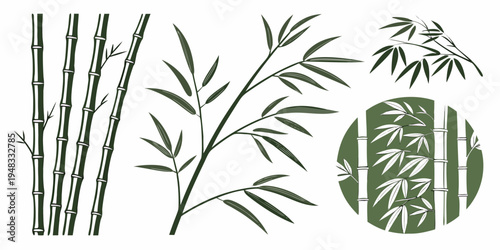 a set of bamboo plant graphics Vector