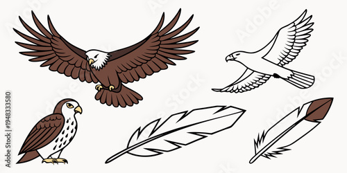 a brown and white eagle with feathers Vector