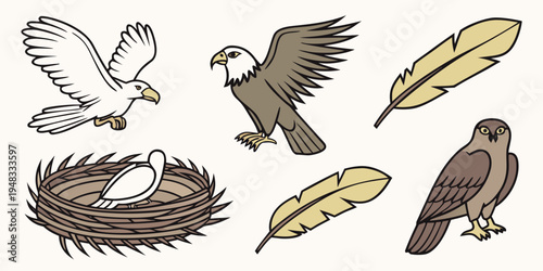 a collection of eagle illustrations with feathers and nest Vector