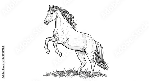 Detailed Line Art of a Rearing Horse on Grass.