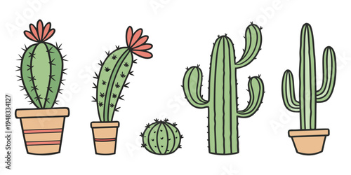a set of five different cacti and succulents Vector