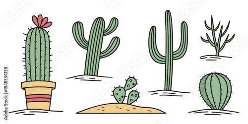 a group of different types of cacti and succulents Vector