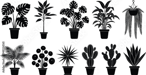 Houseplant silhouette collection, potted tropical plants and cactus vector set, indoor botanical decor icons, monstera palm succulent illustration, black plant clipart