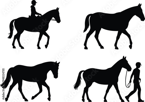 Black horse and rider silhouettes showing equestrian activities, walking horses, leading with rope, and riding scenes, perfect for design, education, and animal lifestyle concepts.
