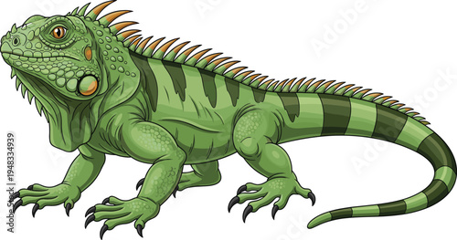 Green iguana reptile animal with long tail spikes and scales tropical wildlife cartoon vector illustration