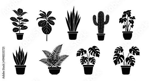Black and white potted plants silhouettes, home decor vector icon set