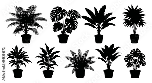 Silhouette Potted Tropical Plants, Vector Graphics, Botany Art