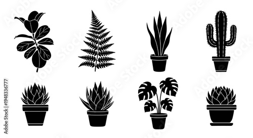 Black and white silhouette illustrations of potted houseplants, vector set