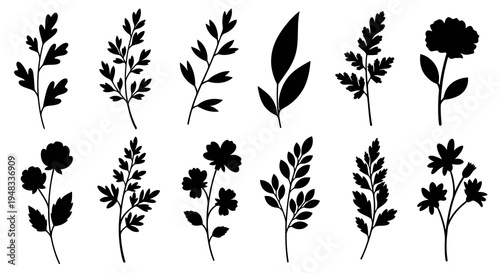 Black Silhouette Botanical Elements, Leaves and Flowers, Line Art