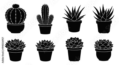 Black and white silhouette illustrations of potted succulent plants and cacti.