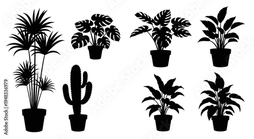 Black and White Silhouette Potted Plants Vector